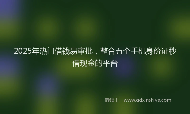 2025年热门借钱易审批，整合五个手机身份证秒借现金的平台