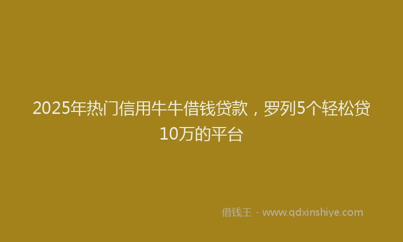 2025年热门信用牛牛借钱贷款，罗列5个轻松贷10万的平台