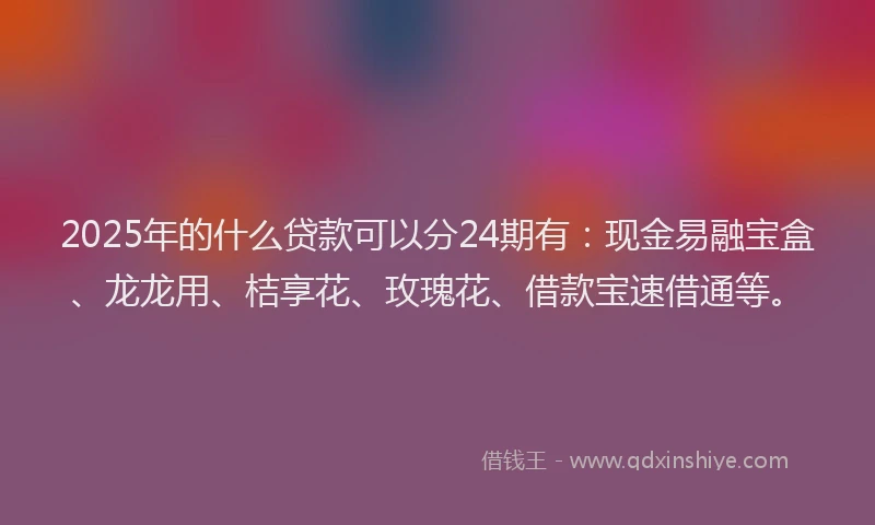 2025年的什么贷款可以分24期有：现金易融宝盒、龙龙用、桔享花、玫瑰花、借款宝速借通等。