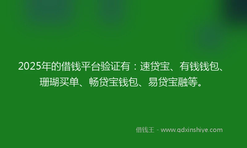 2025年的借钱平台验证有：速贷宝、有钱钱包、珊瑚买单、畅贷宝钱包、易贷宝融等。