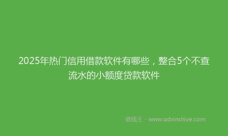 2025年热门信用借款软件有哪些，整合5个不查流水的小额度贷款软件