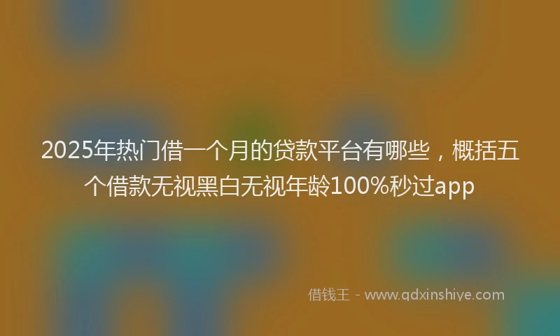 2025年热门借一个月的贷款平台有哪些，概括五个借款无视黑白无视年龄100%秒过app