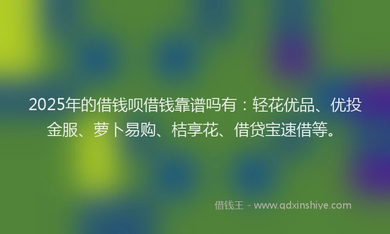 2025年的借钱呗借钱靠谱吗有：轻花优品、优投金服、萝卜易购、桔享花、借贷宝速借等。