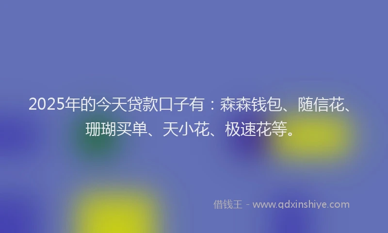 2025年的今天贷款口子有：森森钱包、随信花、珊瑚买单、天小花、极速花等。