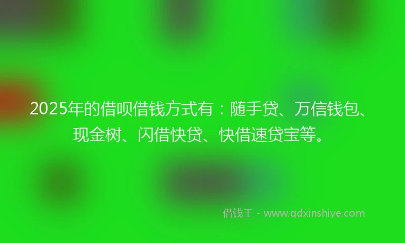 2025年的借呗借钱方式有：随手贷、万信钱包、现金树、闪借快贷、快借速贷宝等。