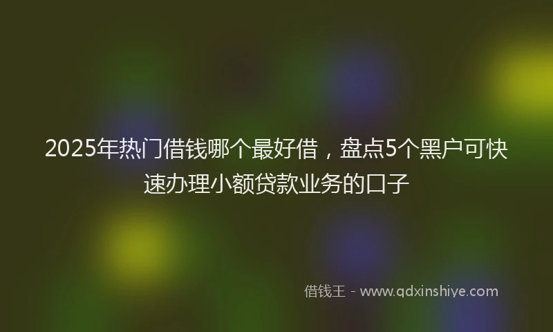 2025年热门借钱哪个最好借，盘点5个黑户可快速办理小额贷款业务的口子