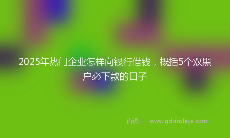 2025年热门企业怎样向银行借钱，概括5个双黑户必下款的口子