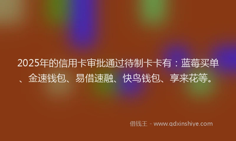2025年的信用卡审批通过待制卡卡有：蓝莓买单、金速钱包、易借速融、快鸟钱包、享来花等。