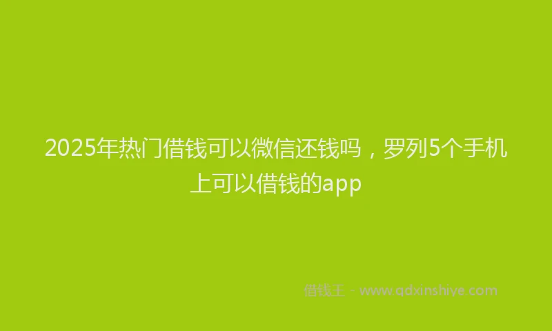 2025年热门借钱可以微信还钱吗，罗列5个手机上可以借钱的app