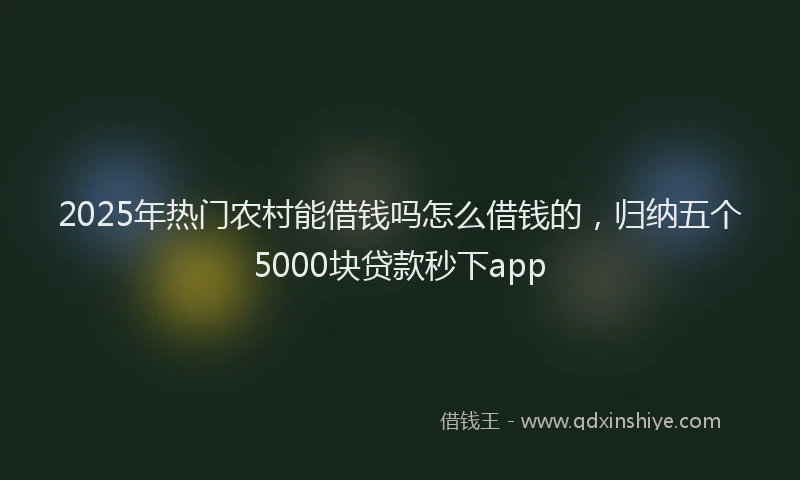 2025年热门农村能借钱吗怎么借钱的，归纳五个5000块贷款秒下app