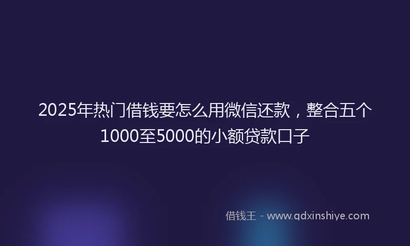 2025年热门借钱要怎么用微信还款，整合五个1000至5000的小额贷款口子