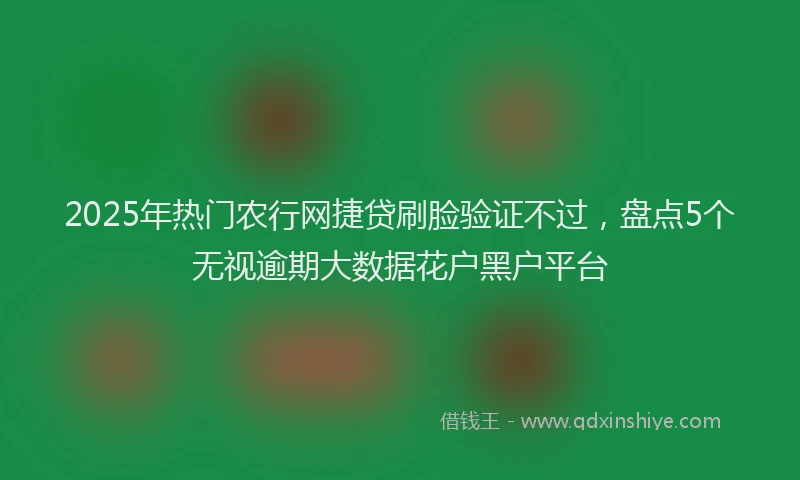 2025年热门农行网捷贷刷脸验证不过，盘点5个无视逾期大数据花户黑户平台