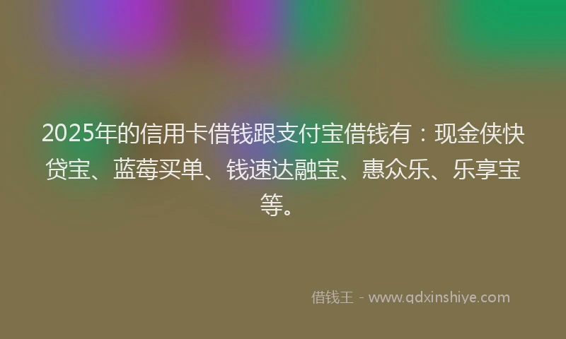 2025年的信用卡借钱跟支付宝借钱有：现金侠快贷宝、蓝莓买单、钱速达融宝、惠众乐、乐享宝等。