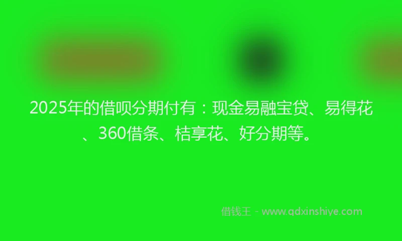 2025年的借呗分期付有：现金易融宝贷、易得花、360借条、桔享花、好分期等。