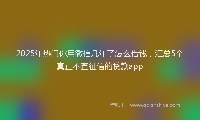 2025年热门你用微信几年了怎么借钱，汇总5个真正不查征信的贷款app