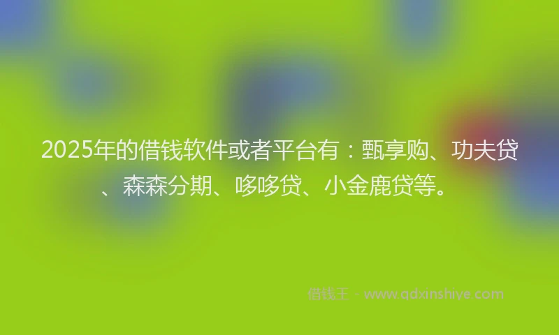 2025年的借钱软件或者平台有：甄享购、功夫贷、森森分期、哆哆贷、小金鹿贷等。