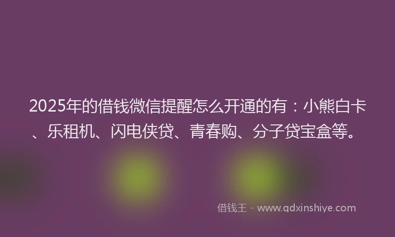 2025年的借钱微信提醒怎么开通的有：小熊白卡、乐租机、闪电侠贷、青春购、分子贷宝盒等。