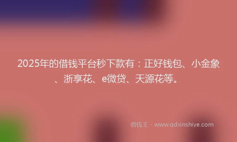 2025年的借钱平台秒下款有：正好钱包、小金象、浙享花、e微贷、天源花等。