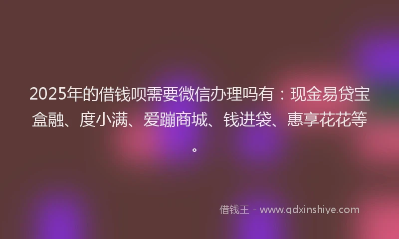 2025年的借钱呗需要微信办理吗有：现金易贷宝盒融、度小满、爱蹦商城、钱进袋、惠享花花等。
