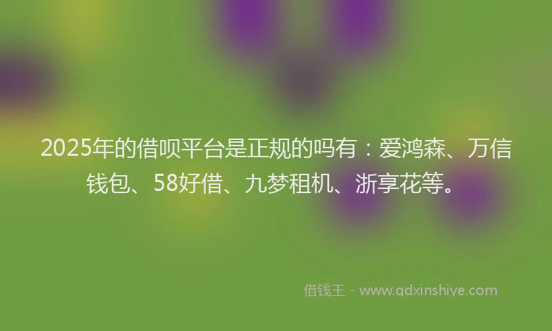 2025年的借呗平台是正规的吗有：爱鸿森、万信钱包、58好借、九梦租机、浙享花等。