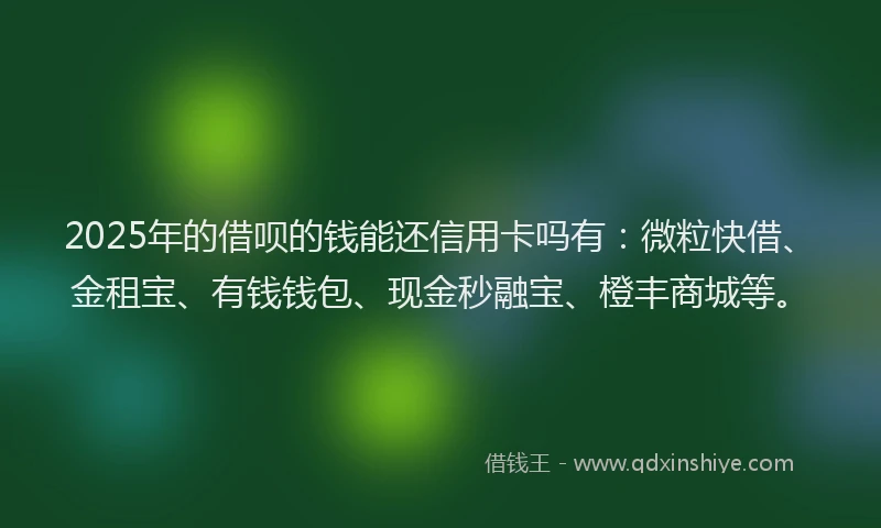 2025年的借呗的钱能还信用卡吗有：微粒快借、金租宝、有钱钱包、现金秒融宝、橙丰商城等。