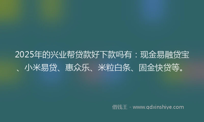 2025年的兴业帮贷款好下款吗有：现金易融贷宝、小米易贷、惠众乐、米粒白条、固金快贷等。