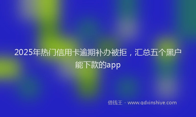 2025年热门信用卡逾期补办被拒，汇总五个黑户能下款的app