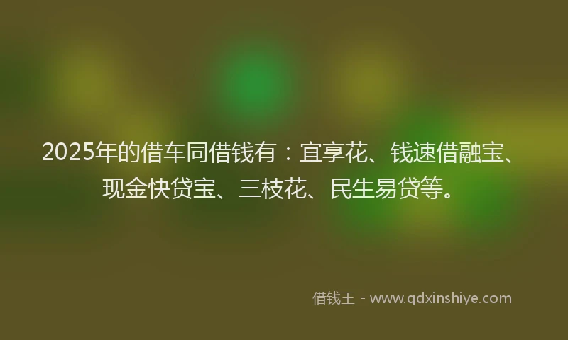 2025年的借车同借钱有：宜享花、钱速借融宝、现金快贷宝、三枝花、民生易贷等。