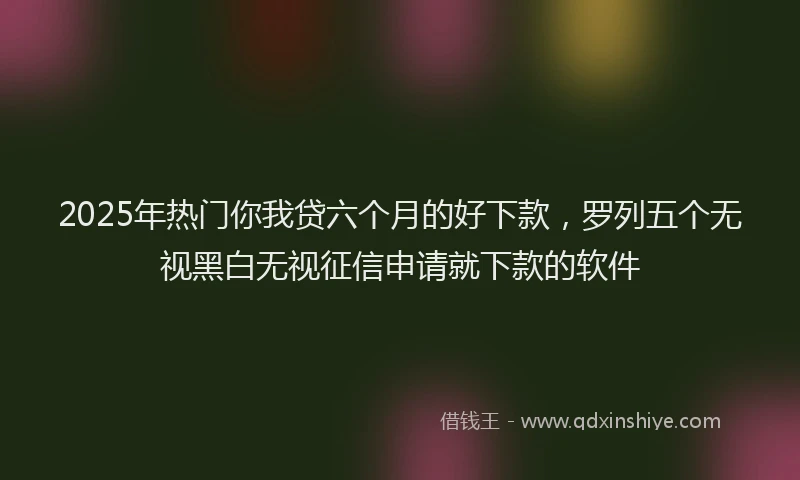 2025年热门你我贷六个月的好下款，罗列五个无视黑白无视征信申请就下款的软件