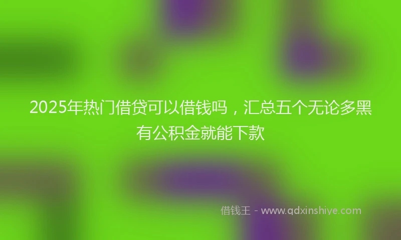 2025年热门借贷可以借钱吗，汇总五个无论多黑有公积金就能下款