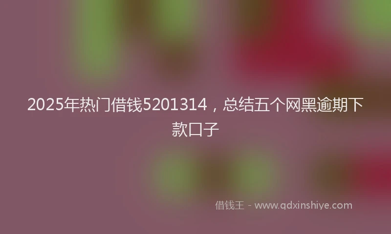 2025年热门借钱5201314，总结五个网黑逾期下款口子