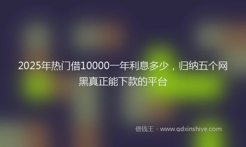 2025年热门借10000一年利息多少，归纳五个网黑真正能下款的平台