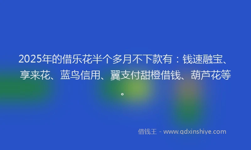 2025年的借乐花半个多月不下款有：钱速融宝、享来花、蓝鸟信用、翼支付甜橙借钱、葫芦花等。