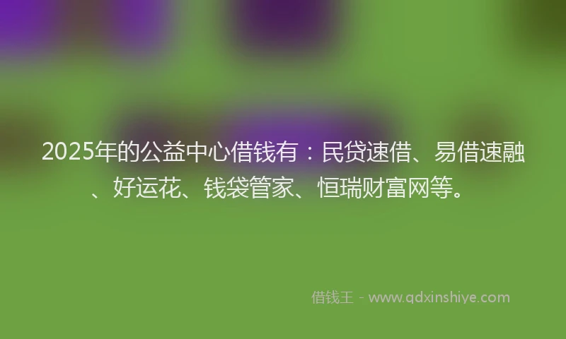 2025年的公益中心借钱有：民贷速借、易借速融、好运花、钱袋管家、恒瑞财富网等。