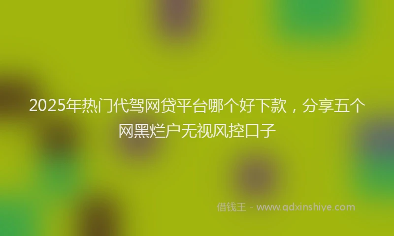 2025年热门代驾网贷平台哪个好下款，分享五个网黑烂户无视风控口子
