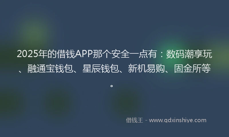 2025年的借钱APP那个安全一点有：数码潮享玩、融通宝钱包、星辰钱包、新机易购、固金所等。