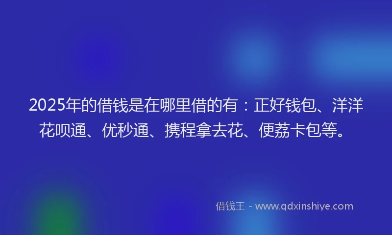 2025年的借钱是在哪里借的有：正好钱包、洋洋花呗通、优秒通、携程拿去花、便荔卡包等。