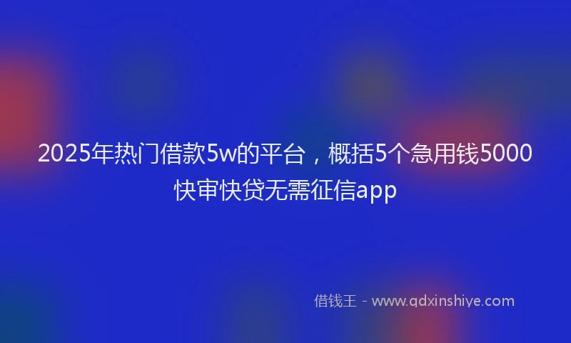 2025年热门借款5w的平台，概括5个急用钱5000快审快贷无需征信app