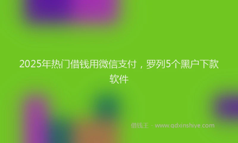 2025年热门借钱用微信支付，罗列5个黑户下款软件