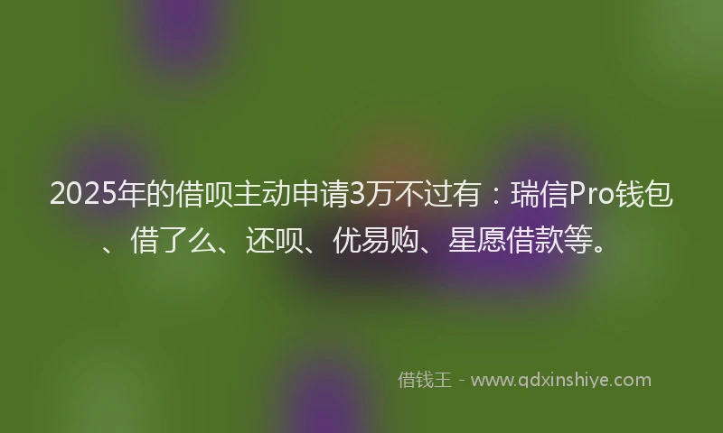 2025年的借呗主动申请3万不过有：瑞信Pro钱包、借了么、还呗、优易购、星愿借款等。