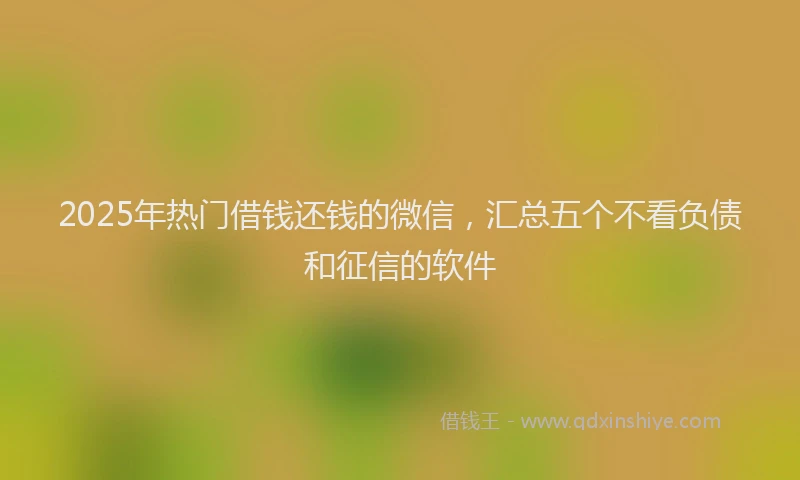 2025年热门借钱还钱的微信，汇总五个不看负债和征信的软件