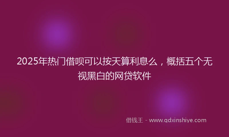2025年热门借呗可以按天算利息么，概括五个无视黑白的网贷软件
