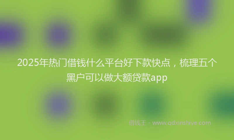 2025年热门借钱什么平台好下款快点，梳理五个黑户可以做大额贷款app