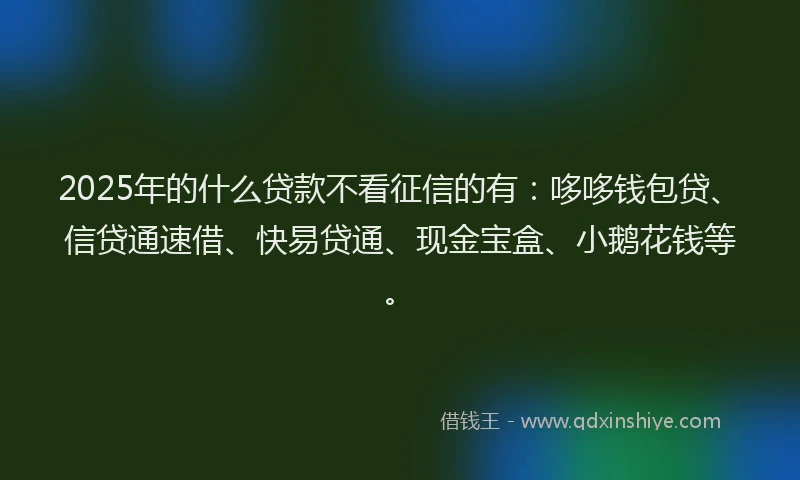 2025年的什么贷款不看征信的有：哆哆钱包贷、信贷通速借、快易贷通、现金宝盒、小鹅花钱等。