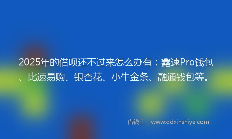 2025年的借呗还不过来怎么办有：鑫速Pro钱包、比速易购、银杏花、小牛金条、融通钱包等。