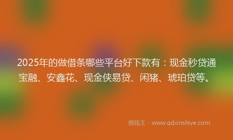 2025年的做借条哪些平台好下款有：现金秒贷通宝融、安鑫花、现金侠易贷、闲猪、琥珀贷等。