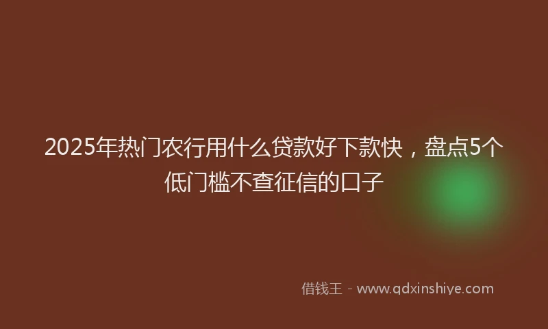 2025年热门农行用什么贷款好下款快，盘点5个低门槛不查征信的口子