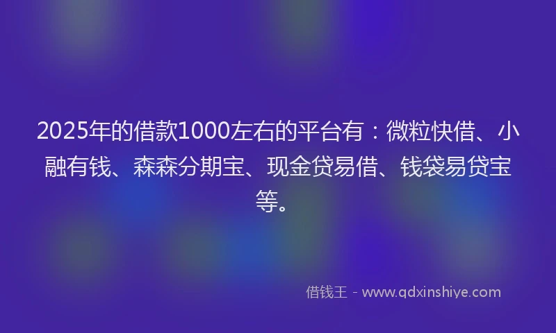 2025年的借款1000左右的平台有：微粒快借、小融有钱、森森分期宝、现金贷易借、钱袋易贷宝等。