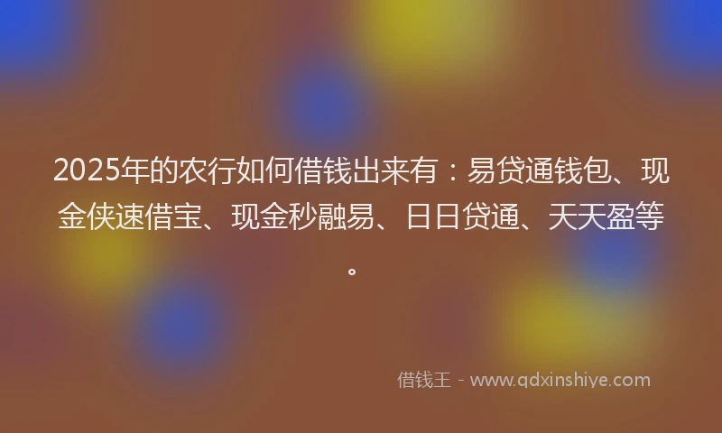 2025年的农行如何借钱出来有：易贷通钱包、现金侠速借宝、现金秒融易、日日贷通、天天盈等。