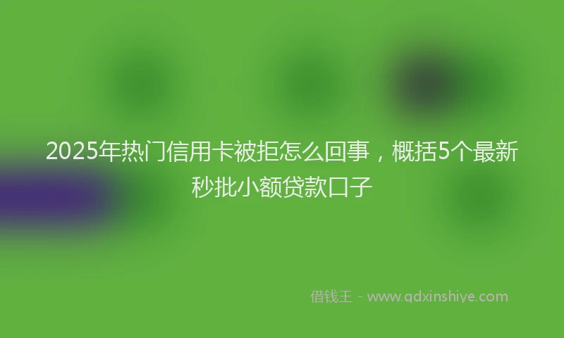 2025年热门信用卡被拒怎么回事，概括5个最新秒批小额贷款口子